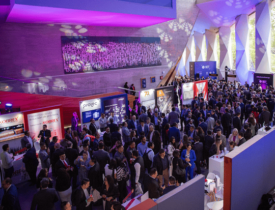 oportunidades de networking